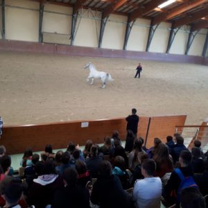 Učenici 7. razreda naše škole posjetili su Đakovo