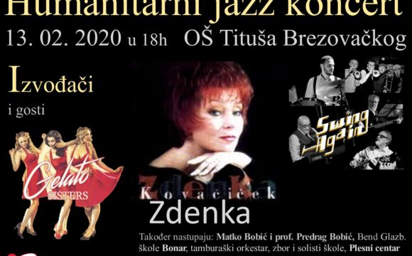 Školski humanitarni koncert,13.2.2020.