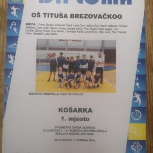 Naši sportski uspjesi